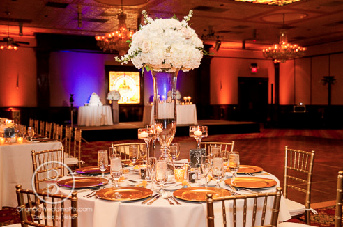 Brian Pepper Photography, Orlando Wedding Pix, Ballroom at Church Street, Lee James Floral Designs, Orlando wedding, reception floral, white floral centerpiece